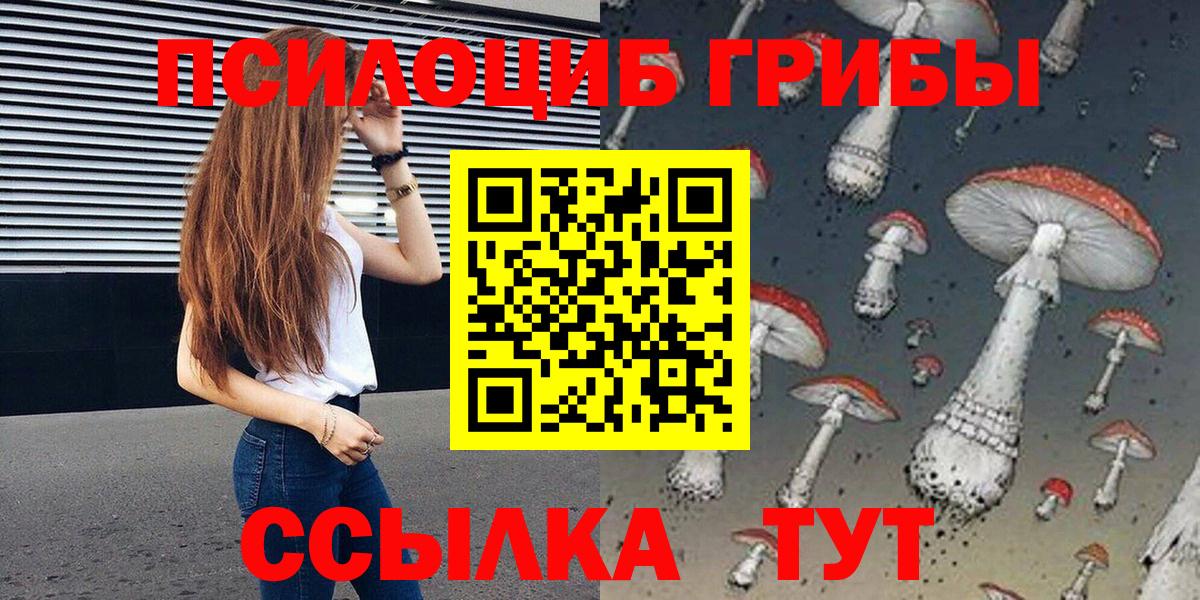 Златоуст  Псилоцибиновые грибы Psilocybine cubensis  Вход с VPN 